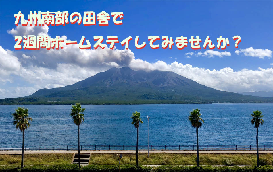第45回 からいも交流・春 (2026年3月)の参加者募集