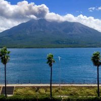 春と夏の2週間のホームスティプログラムに参加する学生を受け入れてみませんか。